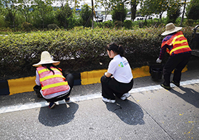 【廣東韶關南雄市】323國道隔離墻警示反光漆涂刷工程