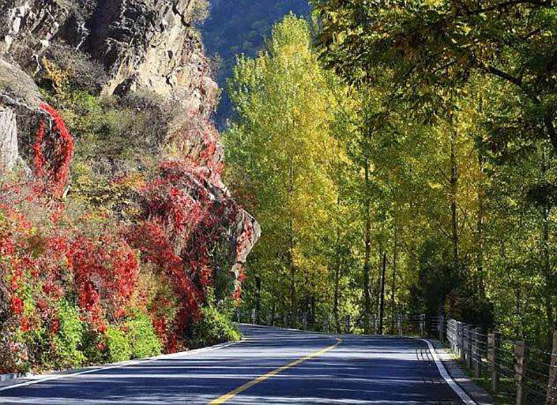 紅白警示漆 紅白警示漆